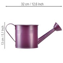daiktų Dekoratyvinė laistytuvė, violetinio metalo, vazonas, Ø13,5 cm, aukštis 12,5 cm