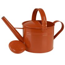 daiktų Metalinė dekoratyvinė laistytuvė kaimiško stiliaus, oranžinės-rudos spalvos, 26 cm, 5 l - universalus naudojimas kaip sodinimo ir dekoratyvinė talpykla