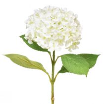 daiktų Dekoratyvinė hortenzija dirbtinė balta sniego gniūžtė hortenzija 65cm