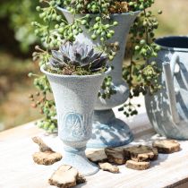 daiktų Dekoratyvinė taurė metalinė senovinė balta mėlyna Ø11cm H17,5cm