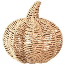 daiktų Dekoratyvinė moliūgų rafija natūrali kaimiška rudens puošmena Ø25cm H25cm