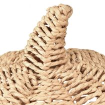 daiktų Dekoratyvinė moliūgų rafija, natūrali, kaimiška, rudens dekoracija, Ø25cm, aukštis 25cm