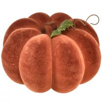daiktų Dekoratyvinė moliūgų flokuota - rudeniška stalo puošmena stipriai raudonai ruda spalva 20cm 2vnt