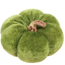 daiktų Dekoratyviniai moliūgai iš audinio aksominės žalios spalvos Ø7cm H4.5cm 9 vnt.