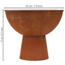 daiktų Dekoratyvinis dubuo su kojele, taurė-dubuo, rūdžių spalvos metalas, Ø20,5 cm, 2 vnt.