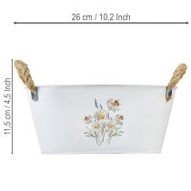 daiktų Dekoratyvinis ovalus metalinis dubuo, baltas, su natūraliais gėlių raštais, L26cm