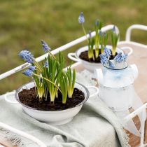 daiktų Dekoratyvinis dubuo metalinis baltas juodas Vintage Ø20,5cm 3vnt