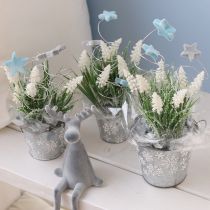 daiktų Dekoratyvinės žvaigždės, išsklaidytos mėlynos spalvos, Ø4/5cm, 40 vnt.
