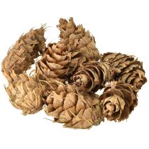 daiktų Douglas kūgiai 1,3 kg