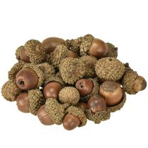 daiktų Gilės dekoravimui, rudens dekoracijai, natūraliems rudens vaisiams Ø1,5 – 2,5 cm I1,5 – 3 cm 300 g