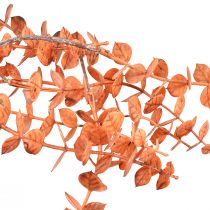 daiktų Dirbtinio eukalipto kabykla rudens eukalipto oranžinė 150cm