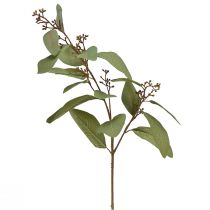daiktų Eukalipto šakelė dirbtinė dekoratyvinė šakelė žalia dirbtinė šakelė 60cm