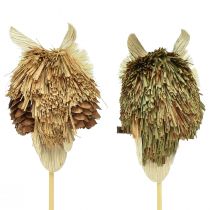 daiktų Pelėdos dekoratyviniai gėlių kamščiai rudens dekoracija natūralus Ø4cm H8cm 4vnt