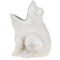 daiktų Varlė dekoratyvinis augalų vazonas gėlių vazonas betoninis pilkas H18,5cm