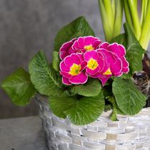 daiktų Stilingas gėlių dekoras svetainės interjere – pinti krepšeliai. Velykiniai krepšeliai, 23 cm, 6 vnt.