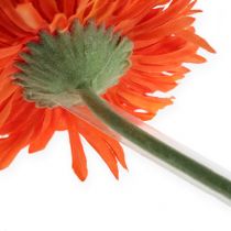 daiktų Gerbera vamzdžių sekcijos 15mm, 1000vnt