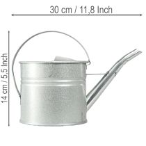 daiktų Vintažinė dekoratyvinė laistytuvė, metalinė, sidabrinė, 1,25 l vazonas