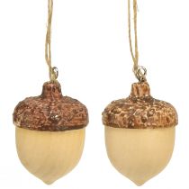 daiktų Gilė pakabinamai dekoracijai rudens natūrali/ruda 5,3x3,5cm 12 vnt