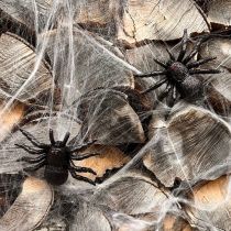 daiktų Helovino dekoracija voratinklis 70×100cm 150g