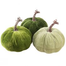 daiktų Rudens puošmena moliūgas šviesiai žalias žalias tamsiai žalias Ø13cm 3 vnt