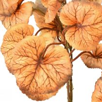 daiktų Heuchera Apvalūs Lapai Dirbtiniai Augalai Ruduo L66cm