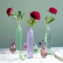 daiktų Aukšta gėlių vaza violetiniai buteliai dekoratyvinis stiklas Ø6,5 cm A30 cm