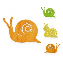 Streudeko medinių sraigių rūšiavimas 3,5cm 39vnt