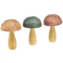 daiktų Mediniai grybai dekoratyviniai grybai rudens puošmena mediniai asorti 11×7,5cm 3vnt