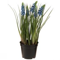 daiktų Dirbtiniai hiacintai mėlyname vazonėlyje 24cm