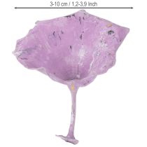 daiktų Kalix grybai violetiniai, baltai nuplauti, 100 vnt.