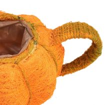 daiktų Vazonas moliūgų dekoravimui sodinti oranžinė/gelsvai žalia Ø13cm
