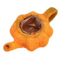daiktų Ąsotis moliūgų dekoracijai sodinti oranžinis/geltonai žalias Ø13cm