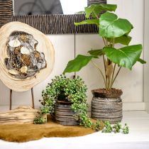 daiktų Keraminė vazoninė dekoratyvinė vaza metalinė pilka ruda 14×14cm