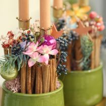 daiktų Žvakidė su karūnėle, auksinė, metalinė pagaliuko formos žvakidė, 4 vnt.