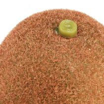 daiktų Kivi dirbtinis tikroviškas dekoratyvinis vaisius 7,5 cm
