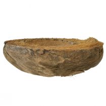 daiktų Kokosų vazonas, natūralus, 20 cm, 5 vnt.