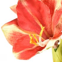 daiktų Dirbtinis Amaryllis Pink ir Cream – didelė stiebo gėlė 76cm