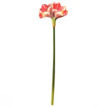 daiktų Dirbtinis Amaryllis Pink ir Cream – didelė stiebo gėlė 76cm