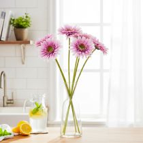 daiktų Dirbtinės gerberos sodo gėlės, violetinės, 47 cm, 6 vnt.