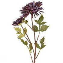daiktų Dirbtinė chrizantema 2 žiedai violetiniai Ø5/11cm L70cm