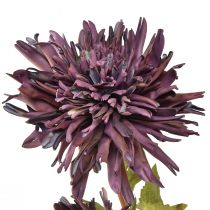 daiktų Dirbtinė chrizantema 2 žiedai violetiniai Ø5/11cm L70cm