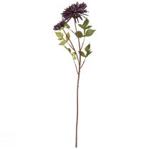 daiktų Dirbtinė chrizantema 2 žiedai violetiniai Ø5/11cm L70cm