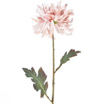 daiktų Dirbtinės chrizantemos rausvai rausvai Ø13cm L72cm 2vnt