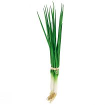 daiktų Dirbtiniai laiškiniai svogūnai dekoratyvinės daržovės L30cm 4 vnt