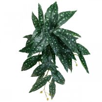 daiktų Dirbtinė begonija Dirbtinis augalas žalia, tamsiai žalia 42×28cm