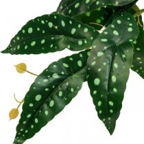 Dirbtinė begonija Dirbtinis augalas žalia, tamsiai žalia 42×28cm