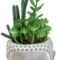 Dirbtinis sultingas gėlių vazonas Buddha Ø12cm H24cm