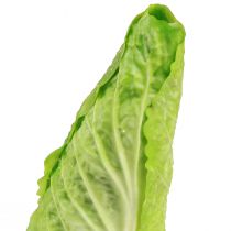 daiktų Dirbtinis smailių kopūstų maistinis manekenas Ø5cm H18cm