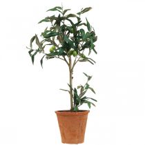 Dirbtinis alyvmedis vazone Dirbtinis augalas Alyvuogė H63,5cm