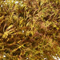 daiktų Dirbtinė samanų dekoracija ruda – samanų pagalvėlė 10/12/14cm 3 vnt.